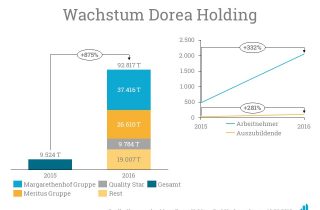 Diese Grafik zeigt die Bilanzen der Dorea Holding.