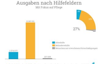 Die Grafik zeigt eine Darstellung der Ausgaben der Bethel Stiftung nach Hilfefeldern mit Fokus auf Pflege.