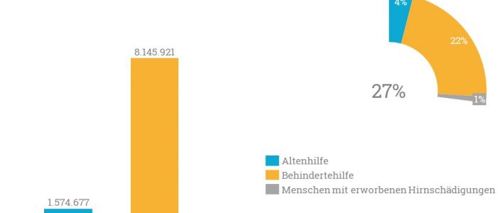 Die Grafik zeigt eine Darstellung der Ausgaben der Bethel Stiftung nach Hilfefeldern mit Fokus auf Pflege.