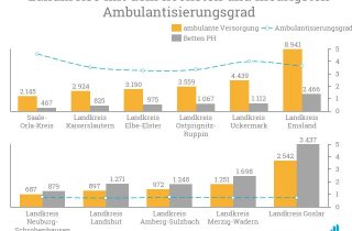 Besonders der Landkreis Uckermark zeigt einen hohen Ambulantisierungsgrad.