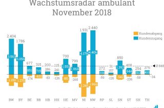 Der durchschnittliche Kundenzugang je Bundesland betrug im Wachstumsradar November 855.