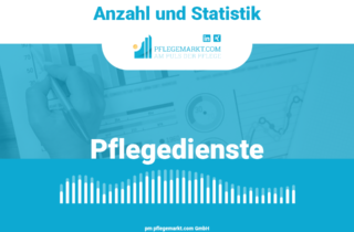 Anzahl und Statistik Pflegedienste Titelbild