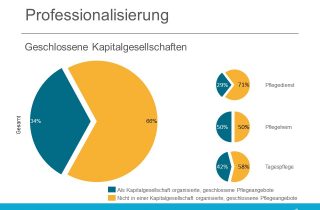 Insolvenzen Kapitalgesellschaften 2019