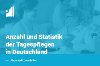Anzahl Statistik Tagespflege 2024