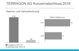 Terragon Konzernbilanz