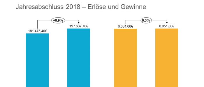DOmicil Jahresabschluss 2018 - Erloese und Gewinne
