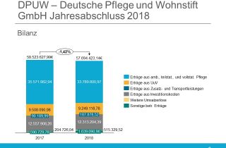 DPUW Deutsche Pflege und Wohnstift GmbH Jahresabschluss 2018 Bilanz
