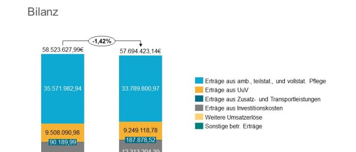 DPUW Deutsche Pflege und Wohnstift GmbH Jahresabschluss 2018 Bilanz