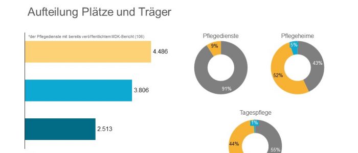 Neugründungen Pflege 2019 nach Träger UND neue Versorgungen