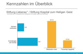 Stiftung Stiftung Liebenau Allgemeine Kennzahlen 2019