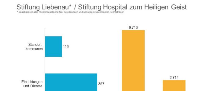Stiftung Stiftung Liebenau Allgemeine Kennzahlen 2019