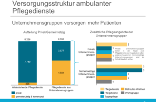 Versorgungsstruktur ambulanter Pflegedienste