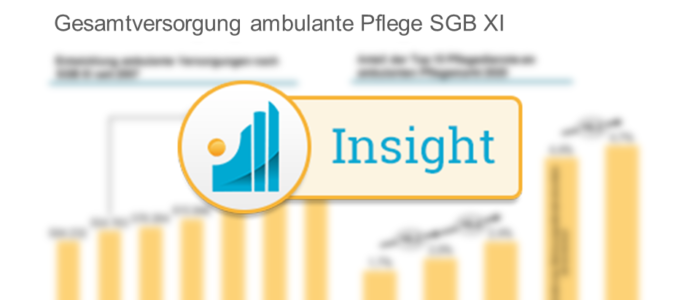 Analyse der Versorgungsstruktur in der ambulanten Pflege Insight