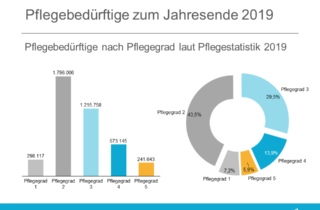 Auswertung Pflegegrade - Amtliche Statistik