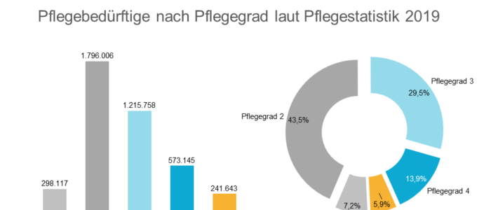 Auswertung Pflegegrade - Amtliche Statistik