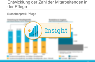 Branchenprofil Pflege - Entwicklung der Zahl der Mitarbeitenden in der Pflege Insight