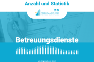 Anzahl und Statistik -Betreuungsdienste Cover