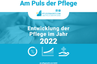 Statistik Entwicklung der Pflege im Jahr 2022