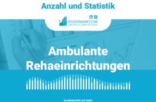 Anzahl und Statistik der Ambulanten Rehaeinrichtungen